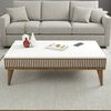 Dmora Couchtisch Capricorn 105 x 60 x 34,6h cm Braun EIN Fach Bild 4