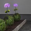 LED-Solarstab "Hortensia", pink Bild 4