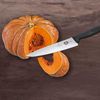 Victorinox Tranchiermesser Fibrox Bild 5