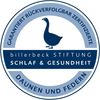 Billerbeck 3-Kammer Kissen Daune Exclusiv EXQUISIT | weiche Stützkraft 80x80cm Bild 3