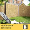 Sol Royal SolVision S36 Sichtschutzmatte Schilf 160cm, 600cm Bild 2
