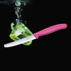 Victorinox | Brotzeitmesser SwissClassic, Pink Bild 4