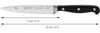 WMF Spitzenklasse Plus Spickmesser, 12 cm 3201002767 Bild 3