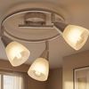 Deckenlampe, Spots beweglich, Nickel-matt, Glas Bild 2