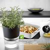 Gefu Botanico Kräutertopf Bild 3