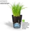 Gefu Botanico Kräutertopf Bild 5