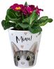 speecheese Blumentopf Miau Katze Blumentopf Bild 2
