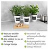 WAIA Blumentopf aus Keramik, 13, WENKO Bild 3