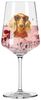 Ritzenhoff Online Petfluencer Cocktail 10 R.Richter F25 Bild 3