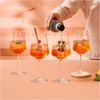 Ritzenhoff Online Petfluencer Cocktail 10 R.Richter F25 Bild 2