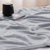 WAVVE Kuscheldecke Flauschig Decke Fleecedecke - Sofadecke 230x270 cm Wohndecke Couchdecke, Hellgrau Decke Sofa Leicht, Groß Decke Riesig Sofaüberwurf Weich Bild 4