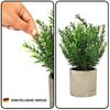 Belle Vous Outdoorteppich Belle Vous 4er Pack Kunstpflanzen im Topf für den Innenbereich -, Höhe: 250,00 mm Bild 3