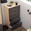 Habitdesign, Kommode mit 5 Schubladen – moderner Sinfonier in Eiche & Rostoptik, platzsparender Schubladenschrank für Schlafzimmer oder Büro, Maße: 60 x 110 x 40 cm (B x H x T), Modell Alaya Bild 2