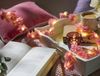 moses. Just One More Chapter Lichterkette Fairylights, Leuchtkette mit 20 warmweißen LEDs und roséfarbenen Blüten aus Stoff, LED-Stimmungslicht mit USB-C-Anschluss und Batteriebetrieb Bild 4