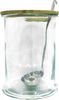HOME DECO FACTORY Trinkglas, 5 l, Transparent/Braun Bild 3