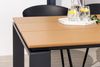 riess-ambiente Gartentisch FLOATING 210cm natur / schwarz (Einzelartikel, 1-St), Garten · Metall · Outdoor · Terrasse · Industrial Design Bild 5