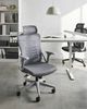 Bürostuhl ERGONOX Grau Bild 2