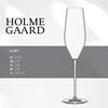 Rosendahl Design Group Holmegaard Cabernet Champagnerglas 29 cl 6 Stck. in der Farbe Klar h 27. 2cm Bild 3