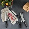 Zwilling Zwilling Set mit 5 Messern im Bambusblock 307562000 Bild 5