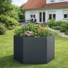 osoltus Sechseck Hochbeet Pflanzbeet Metall verzinkt 99 x 99 x 77 cm Anthrazit Bild 2