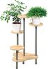 Kesper 17277 Stufiger Pflanzenständer Grau Holz Drinnen 5 Regale 645 mm 460 mm Bild 1