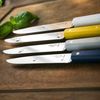 Opinel Bon Appetit Celeste Tafelmesser - rostfrei - 4 tlg - Stahl 12C27 - Buchenholzgriffe in weiß - blau - gelb - grau Bild 5