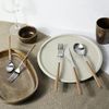 PINTINOX Besteck-Set Sushi (30-tlg), 6 Personen, Edelstahl 18/0, Kunststoff, Satiniert mit Kunststoffgriff in Holz-Optik Bild 3