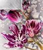 JACK Wendebettwäsche 135x200cm Tulpen in Lila und Silber, Mako-Satin, 2 teilig, hochwertiger Digitaldruck mit illustrierten Tulpen, Baumwolle Bild 2