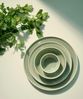 ASA Saisons Agave Essteller 26,5 cm Bild 4