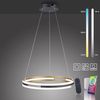 Paul Neuhaus 2051-60 Q-BELUGA LED Pendelleuchte messing matt schwarz Smart Home Bild 2