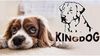 King Dog Tierbett 8AA, Hundebett Katzenbett 75 x 65 cm viele Farben Größe M Bild 5