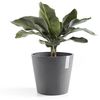 Ecopots Pflanztopf Amsterdam Ø 40 x 34,5 cm grau Bild 2