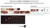 HTI-Living Palisade 12-teilig Terracotta Beetumrandung Nessa Solar Bild 4
