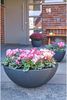 Dehner Kugelschale, Ø 52 cm, Höhe 20 cm, Kunststoff, anthrazit Bild 5