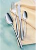 Villeroy & Boch Piemont Tafelbesteck 113-teilig Bild 4