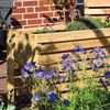 dobar® 58196e großes Hochbeet | Erhöhtes Gemüsebeet | Kräuterbeet aus Holz | Pflanzkasten für Balkon/Garten/Terrasse | Salatbeet für die Anzucht | 100 x 45 x 60 cm | Natur Bild 5