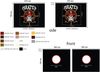 Spielbett Pino mit Textilset "Pirates", Kiefer massiv weiss Bild 3