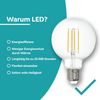 EGLO 3er Set LED Filament Lampen mit E27 Fassung, Edison Vintage Glühbirnen klar, je 4 Watt, Globe Leuchtmittel warmweiß, 2700 K, 470 Lumen, Retro Glühlampe G80, Ø 8 cm Bild 4