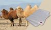 Hefel Naturhaarbettdecke Pure Camel Bild 4
