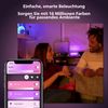 Philips Hue Go Tragbare Tischleuchte - BT Bild 3