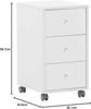 Schildmeyer Rollcontainer Serie 400 Bild 3