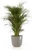 ECOPOTS Blumentopf Oslo 35 Taupe, für innen und außen: frostsicher, bruchsicher und lichtbeständig Bild 2