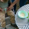 Ingenuity Sitzerhöhung Stuhl, Essen und Fütterung Sitz für Kleinkinder, Boostersitz mit Dreipunktgurt für mehr Sicherheit, leicht zu reinigen, ideal für unterwegs geeignet, ab 16 Monaten Bild 4