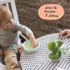 Ingenuity Sitzerhöhung Stuhl, Essen und Fütterung Sitz für Kleinkinder, Boostersitz mit Dreipunktgurt für mehr Sicherheit, leicht zu reinigen, ideal für unterwegs geeignet, ab 16 Monaten Bild 3