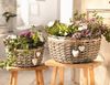 Dekoleidenschaft Pflanzschale Pflanzkörbe aus Weide, grau, Pflanztopf, Blumenschale mit Deko-Herzen (2 St, im Set), Blumenkorb, Weidenkorb, Pflanzgefäß, Tischdeko, Hochzeitsdeko Bild 5