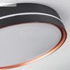 Cachalot Deckenleuchte LED Schwarz, Kupferfarben, 1-flammig, Fernbedienung, Farbwechsler Bild 4