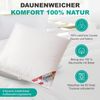 Canada Daunenkissen Daunenkissen Kopfkissen Soft Feeling, Füllung: 50% Daunen 50% Federchen, Bauchposition, Seitenposition, Rückenposition, weiches Liegegefühl, keine piksen Bild 2