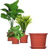 BigDean 3x Blumentopf Untersetzer Ø 19 cm Farbe Terrakotta Kunststoff Blumenuntersetzer Blumentopfuntersetzer passend zu Ø 20 cm Blumentöpfen Bild 5
