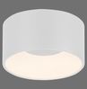 JUST LIGHT LED Deckenleuchte TANIKA, Ø 16 cm, 1-flammig, Weiß, Kunststoff, Dimmfunktion, Memoryfunktion, LED Deckenlampe Bild 3