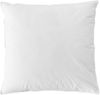 BettwarenShop Zirbe 3-Kammer-Kissen|80x80 cm Bild 2